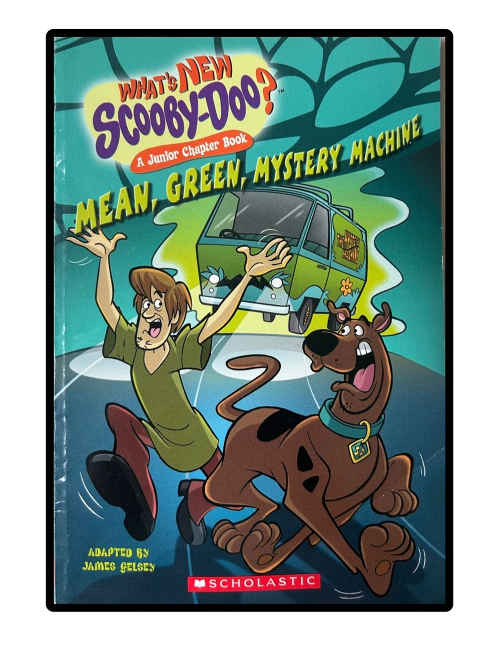 BUNDLE & SAVE🎉 What’s New Scooby-Doo? Mean, Green, Mystery Machine Chapter Book